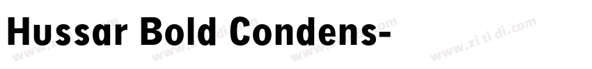 Hussar Bold Condens字体转换